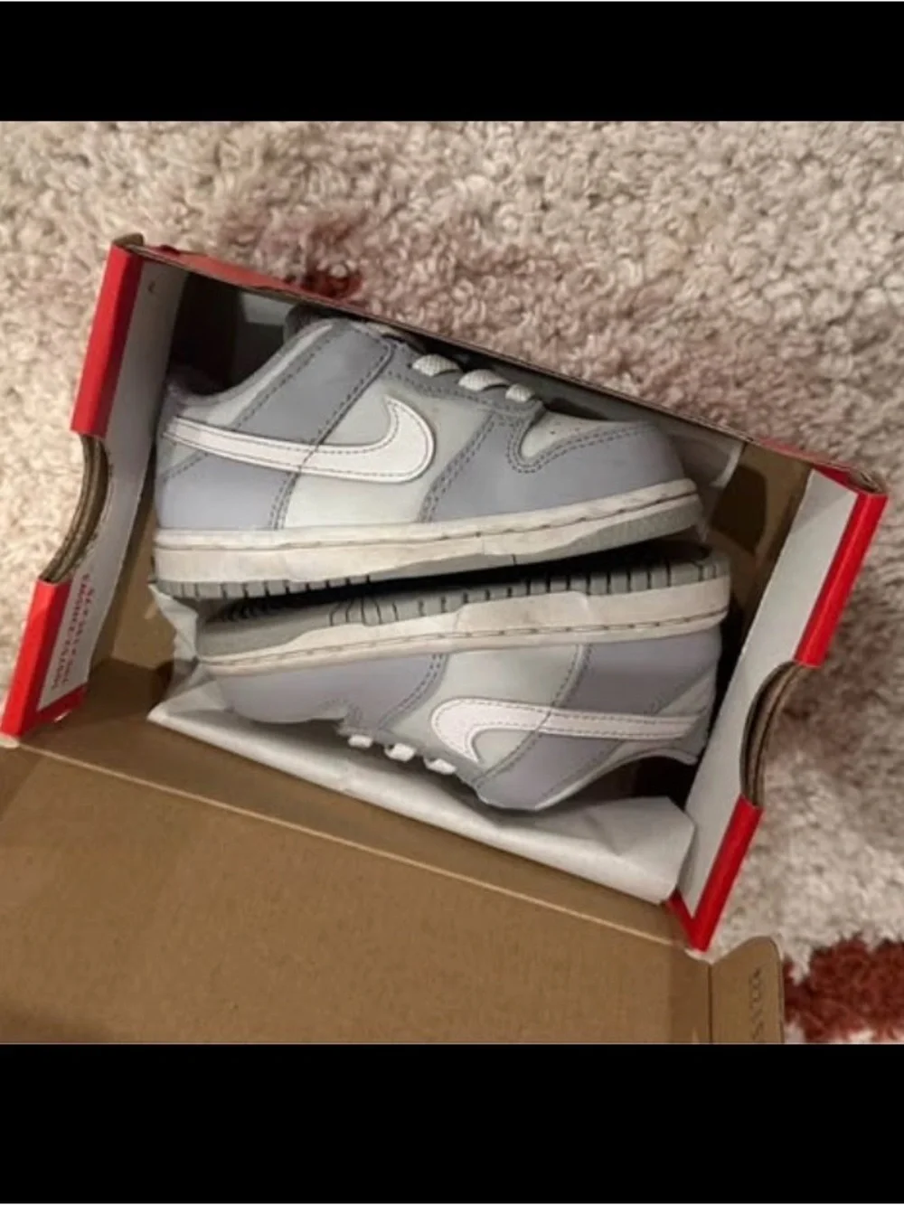 Nike Dunks Little Kids Grey and White Low-Top Sneakers